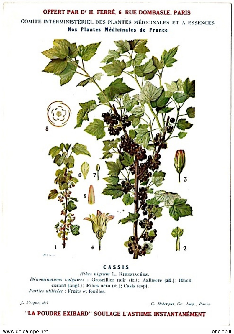 Plantes Médicinales 5 Planches Aubépine Bouleau Cassis... Publicité Exibard 1920 Très Bon état - Medicinal Plants