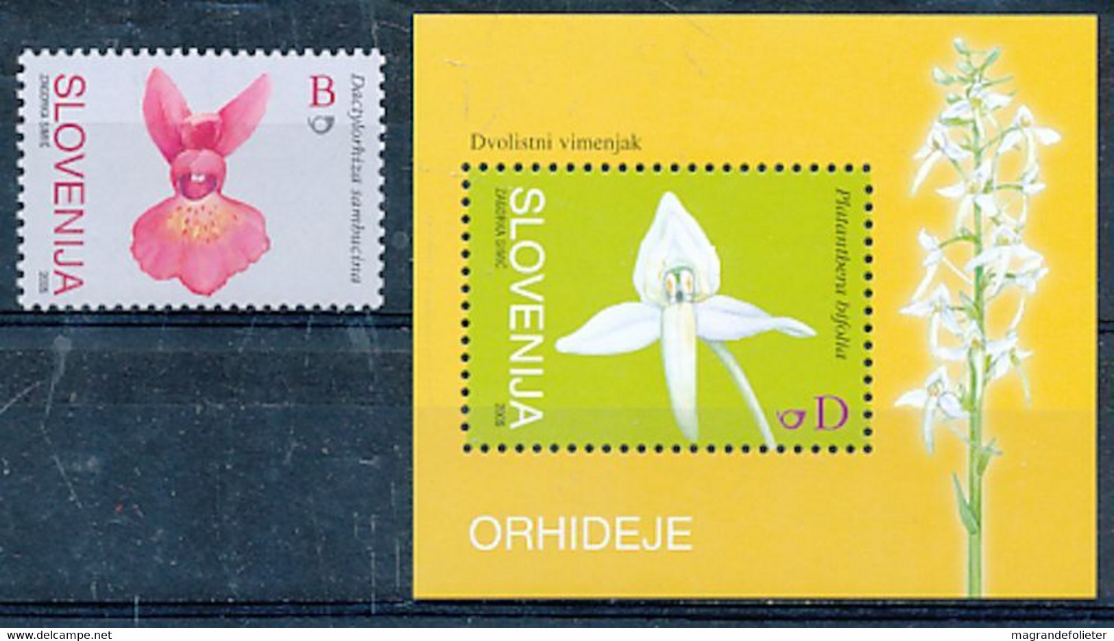 TIMBRE  ZEGEL STAMP  FLEUR ORCHIDEE  FLOWER ORCHID'S  BL SLOVENIE  XX - Orchideeën