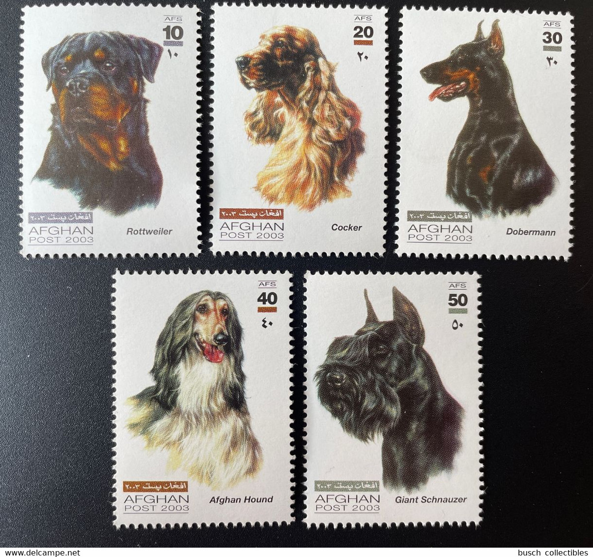 Afghanistan 2003 Faune Fauna Animals Animaux Dogs Chiens Hunde 5 Val. - Afghanistan