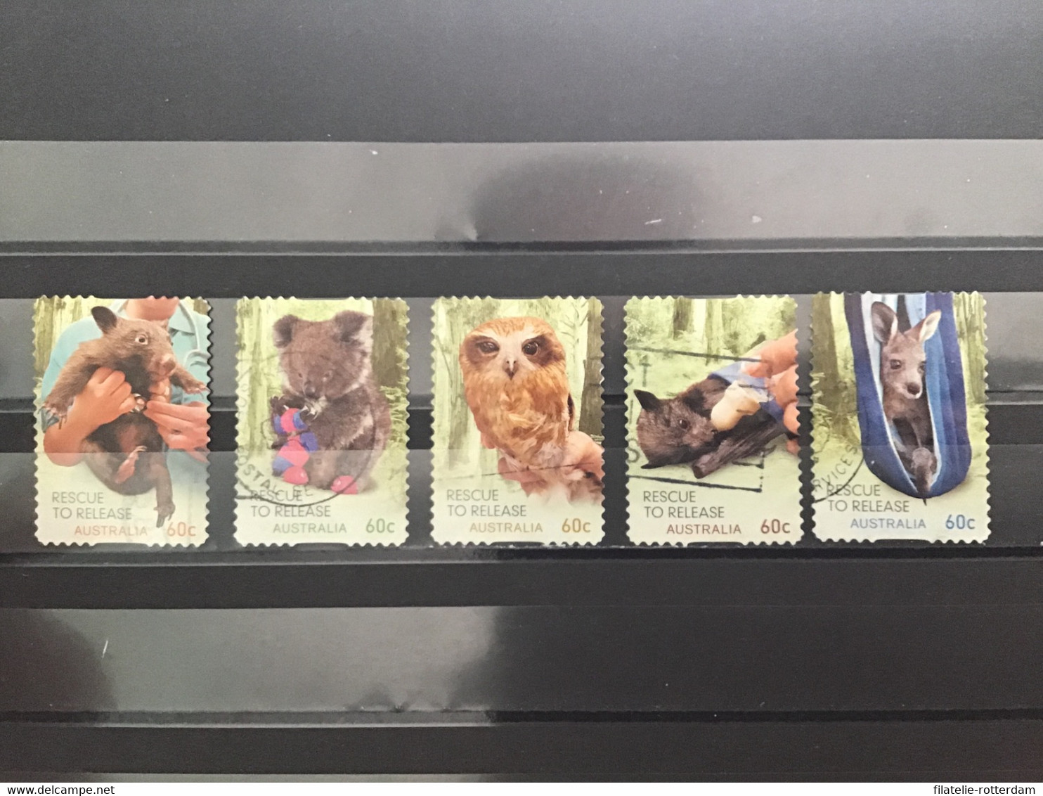 Australië / Australia - Complete Set Dierenbescherming 2010 - Used Stamps