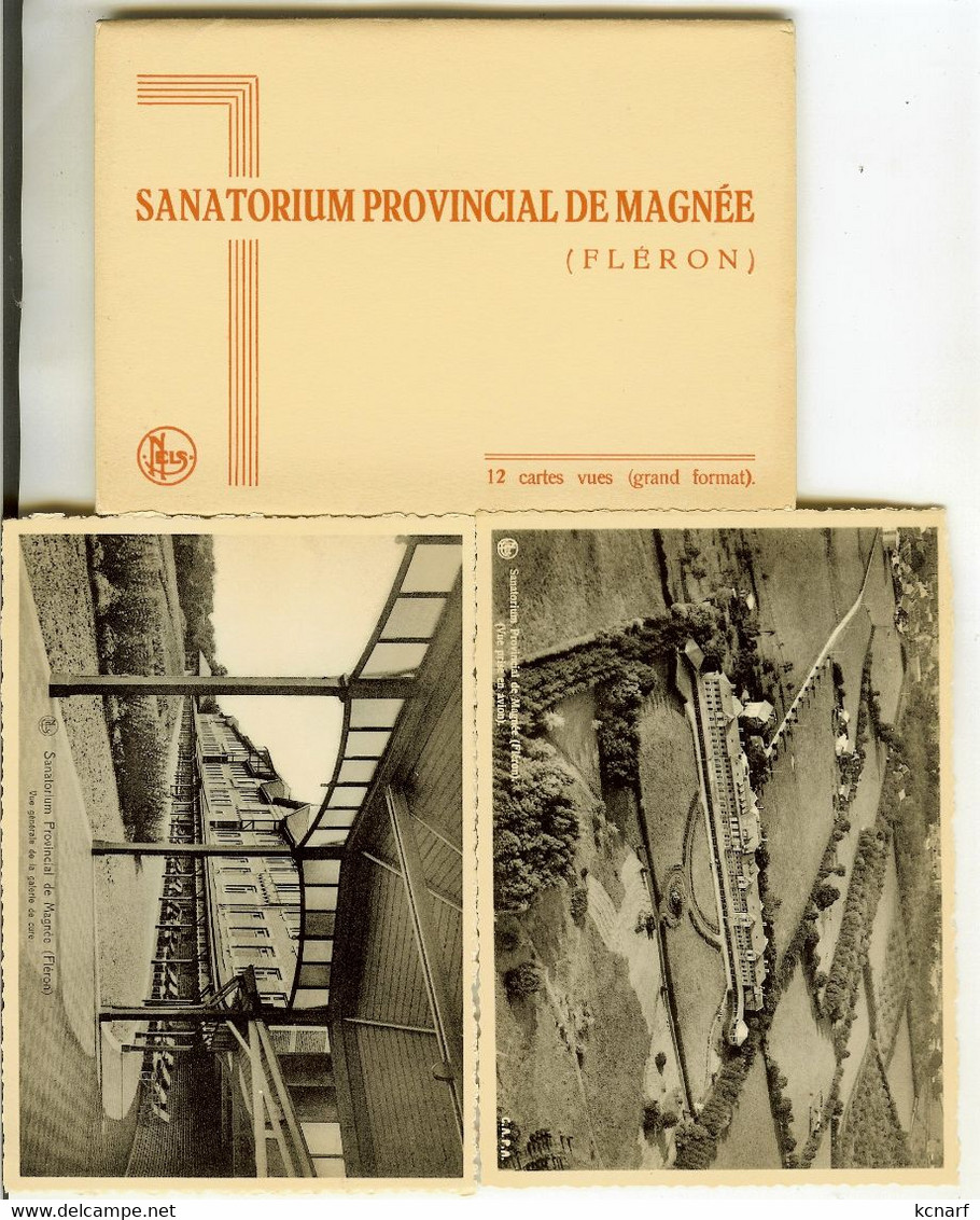 Carnet De Fléron " Sanatorium Provinciale De Magnée " 12 Pc - Fléron