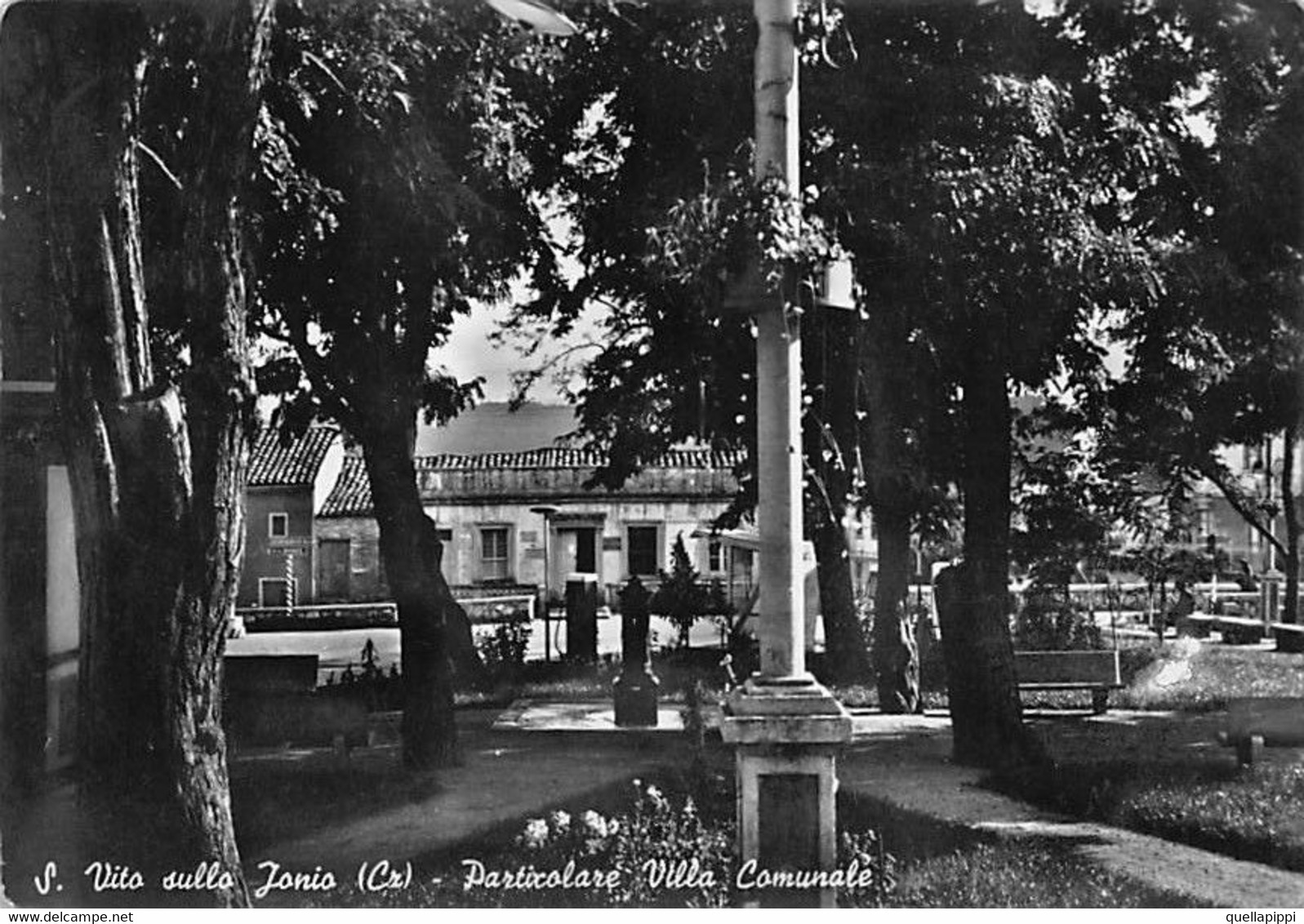 014177 "(CZ) SAN VITO SULLO JONIO - PARTICOLARE VILLA COMUNALE" VEDUTA, VERA FOTO. CART  SPED 1958 - Catanzaro