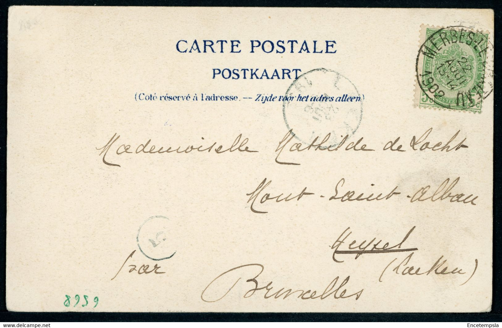 CPA - Carte Postale  - Belgique - Merbes-le-Château - Le Chalet - 1902 (CP20302) - Merbes-le-Chateau