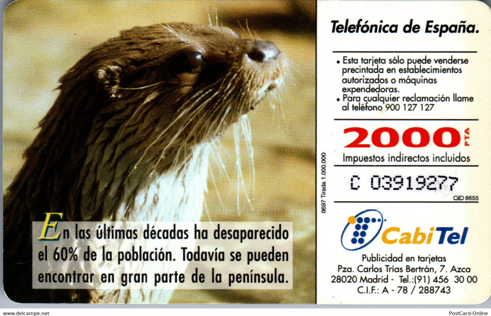 15285 - Spanien - Fauna Iberica , Nutria - Sonstige & Ohne Zuordnung