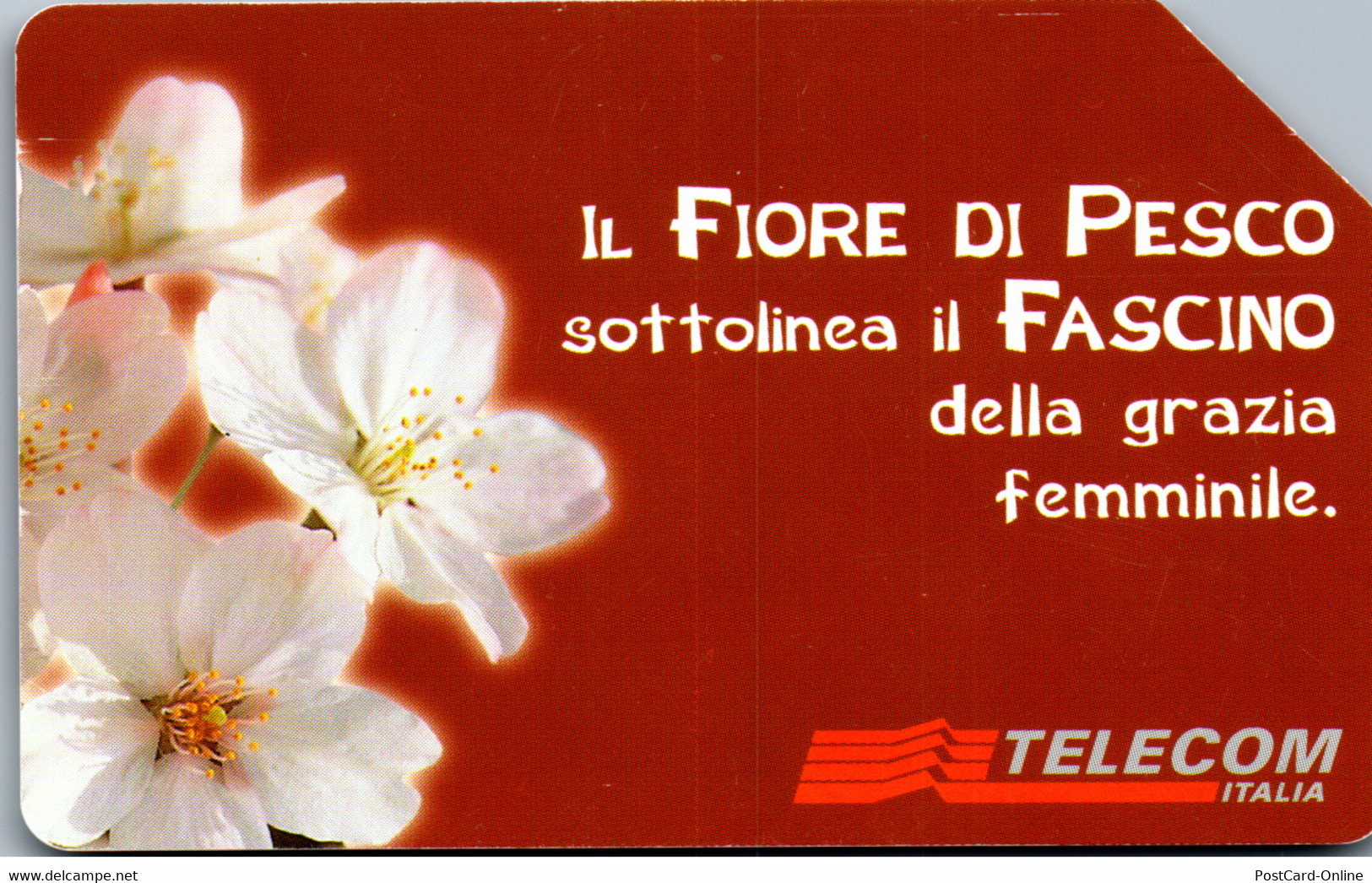 15824 - Italien - Messagi Floreali , Il Fiore De Pesco - Öff. Diverse TK