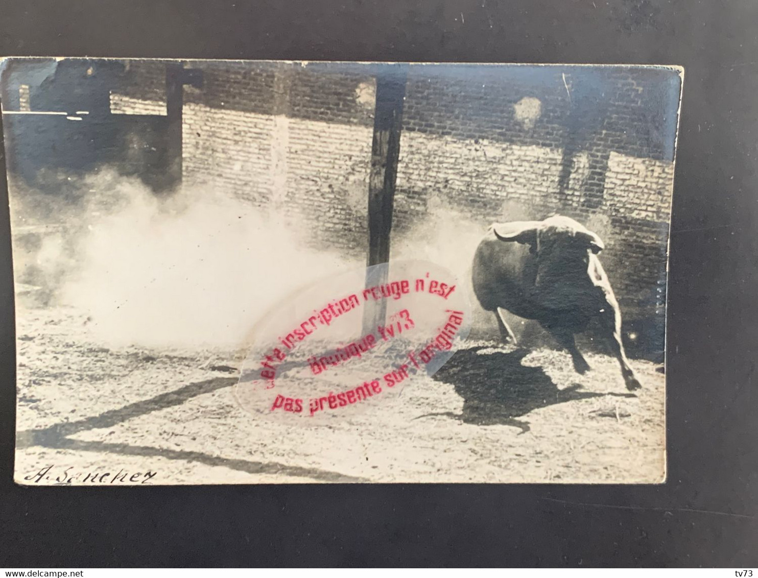 T0394 - Carte Photo Taureau - Corrida - Santiago Losarcos Madrid Espagne - Corrida