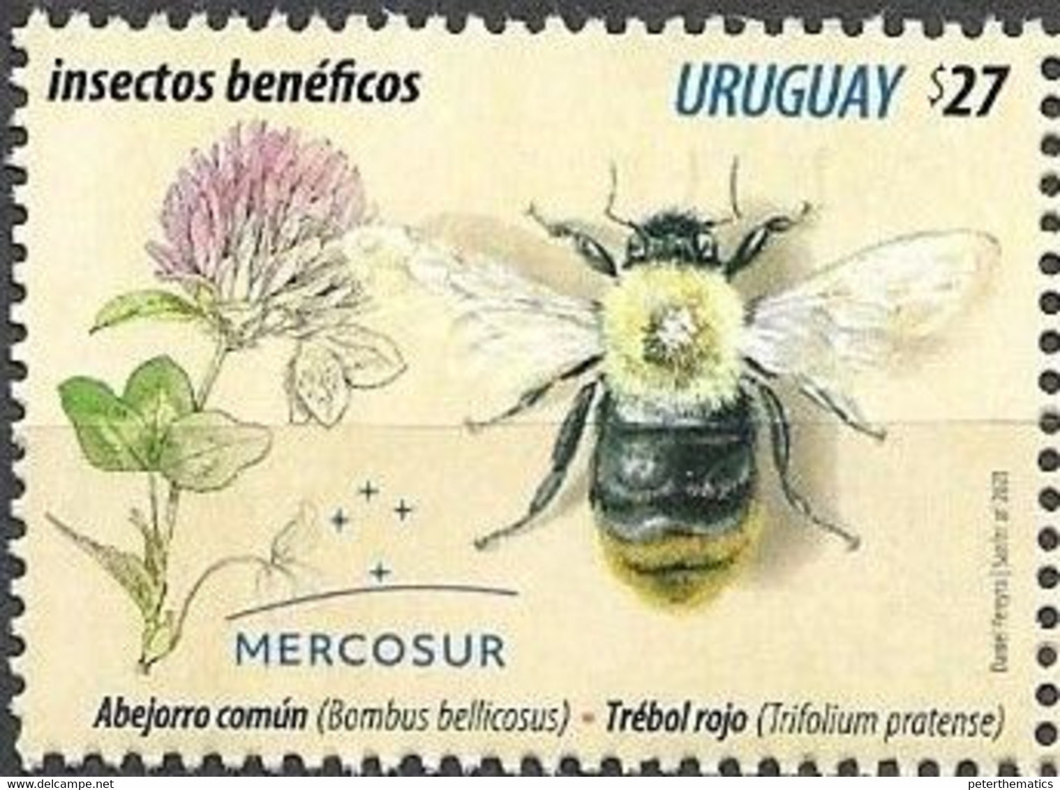 URUGUAY, 2021, MNH, MERCOSUR, BENEFICIAL INSECTS, FLOWERS, 1v - Otros & Sin Clasificación