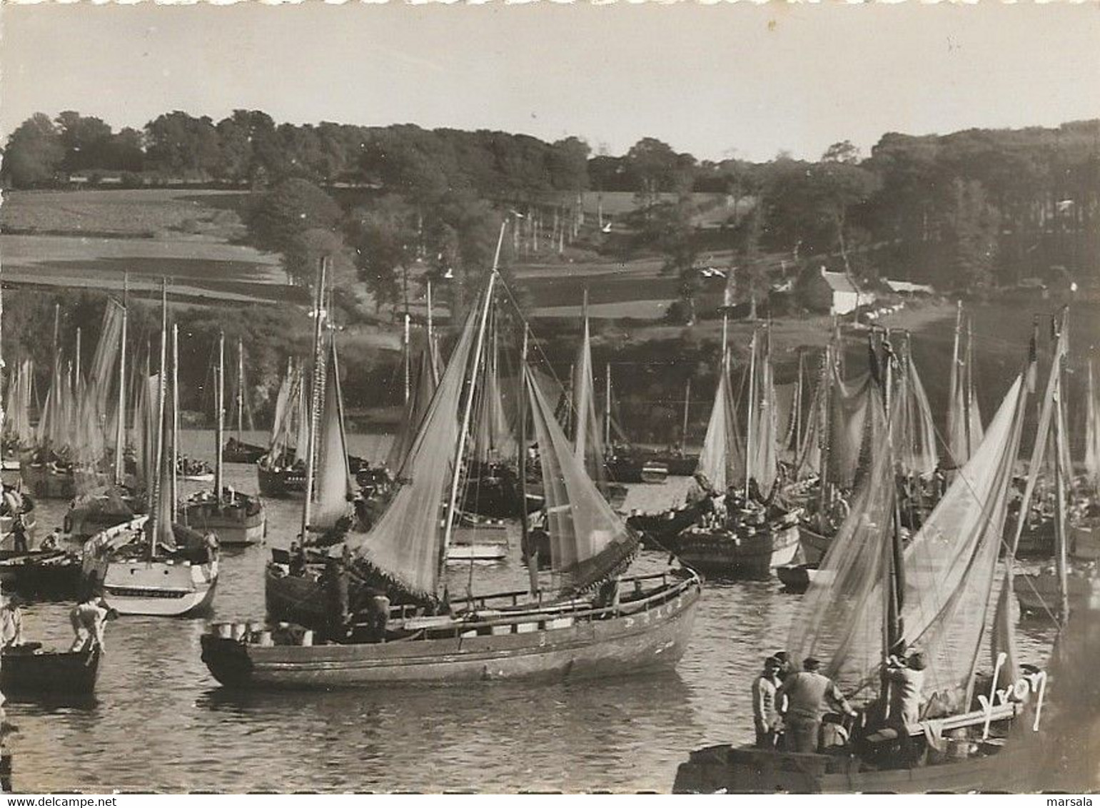 CPSM Douarnenez  Les Sardiniers Au Port - Douarnenez