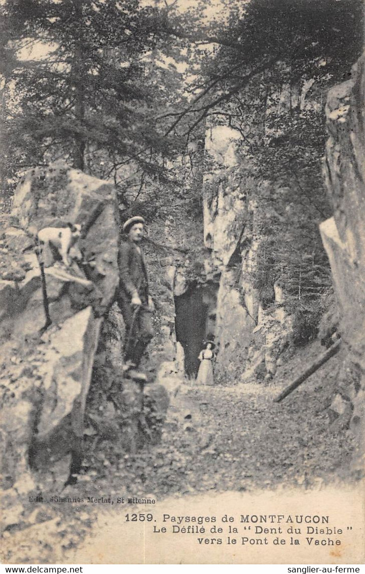 CPA 43 PAYSAGES DE MONTFAUCON LE DEFILE DE LA DENT DU DIABLE VERS LE PONT DE LA VACHE - Le Puy En Velay