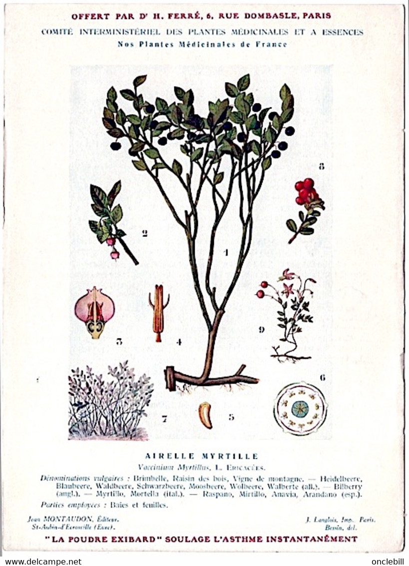 Plantes Médicinales 5 Planches Myrtille Genévrier Mélisse Coriandre Grenade Publicité Exibard 1920 TB état - Plantes Médicinales