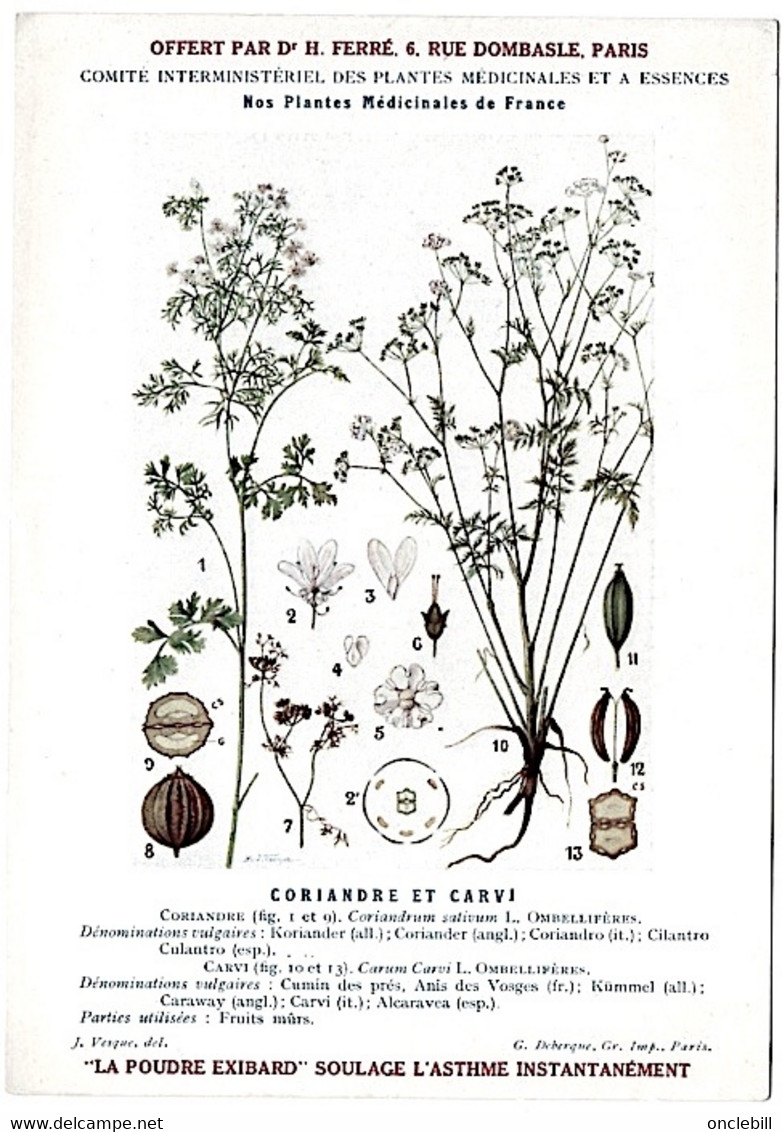 Plantes Médicinales 5 Planches Myrtille Genévrier Mélisse Coriandre Grenade Publicité Exibard 1920 TB état - Heilpflanzen