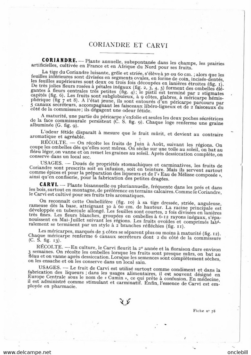 Plantes Médicinales 5 Planches Myrtille Genévrier Mélisse Coriandre Grenade Publicité Exibard 1920 TB état - Medicinal Plants