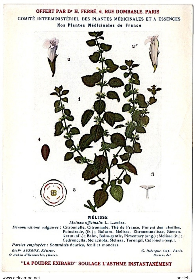 plantes médicinales 5 planches myrtille genévrier mélisse coriandre grenade publicité exibard 1920 TB état