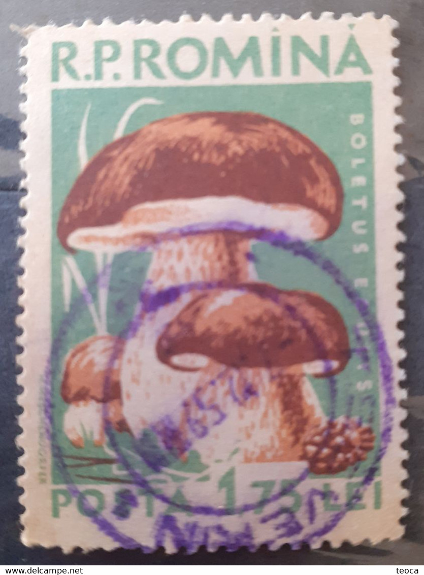 Errors Romania 1958 Mi 1729 Mushrooms Printed With Watermark  Horizontal Line  Used - Varietà & Curiosità