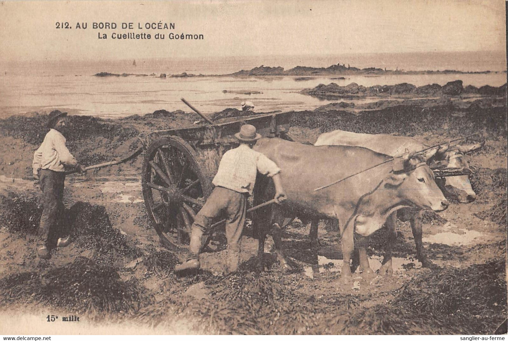 CPA 44 AU BORD DE L'OCEAN LA CUEILLETTE DU GOEMON - Otros & Sin Clasificación