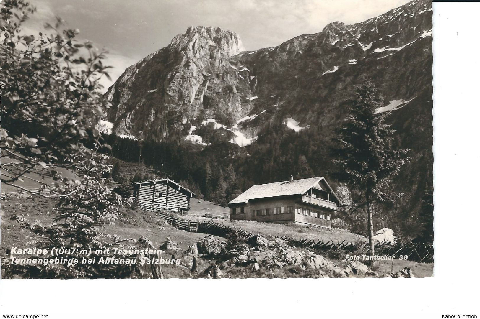 Karalpe Mit Traunstein-Tennengebirge Bei Abtenau, Salzburg, Gelaufen - Abtenau