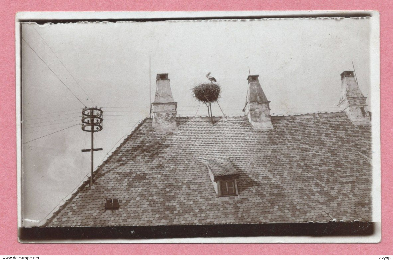 67  - LAUTERBURG - LAUTERBOURG - Carte Photo - Nid De Cigogne - Lauterbourg