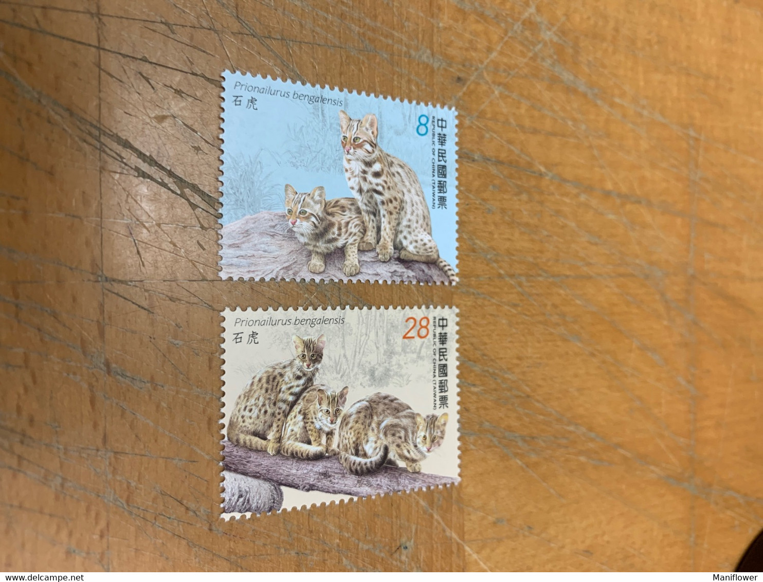 Taiwan Stamp MNH Leopard Cat Animals 2022 - Unused Stamps