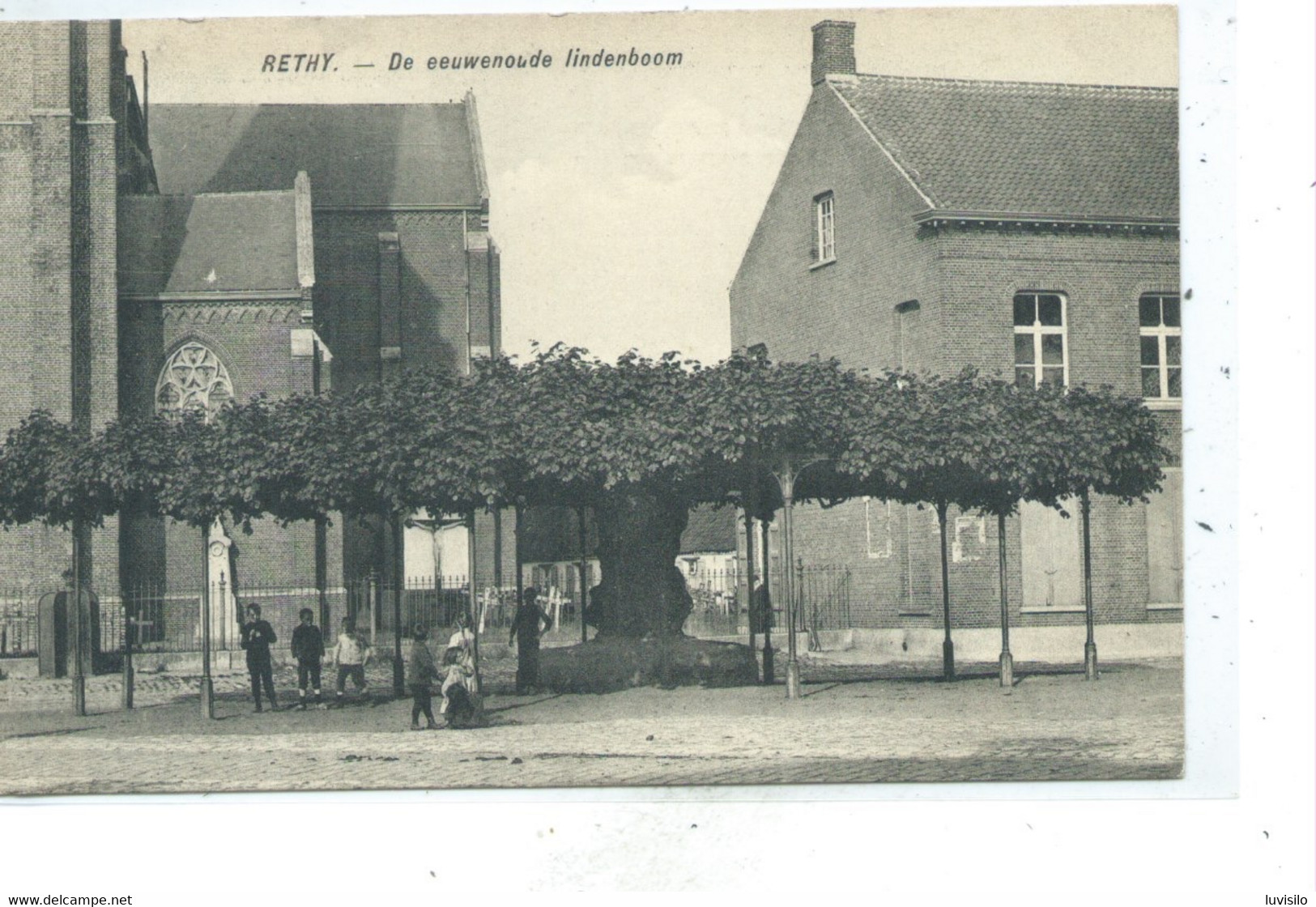 Retie - Rethy - De Eeuwenoude Lindenboom - Retie