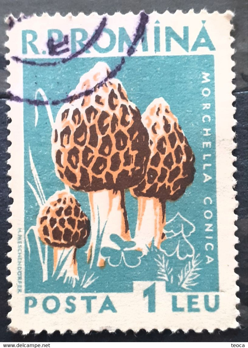 Errors Romania 1958 Mi 1727 Mushrooms Printed With Watermark  Horizontal Line  Used - Variétés Et Curiosités