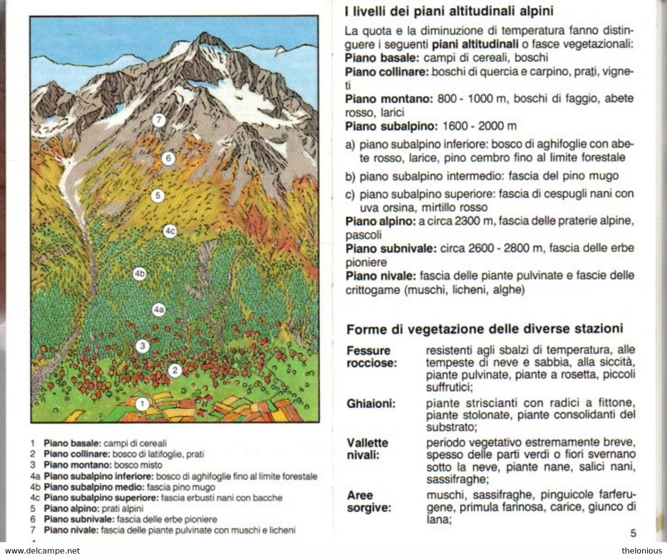 # Guida Kompass - Fiori Alpini - La Natura In Tasca 70 Foto A Colori - Toerisme, Reizen