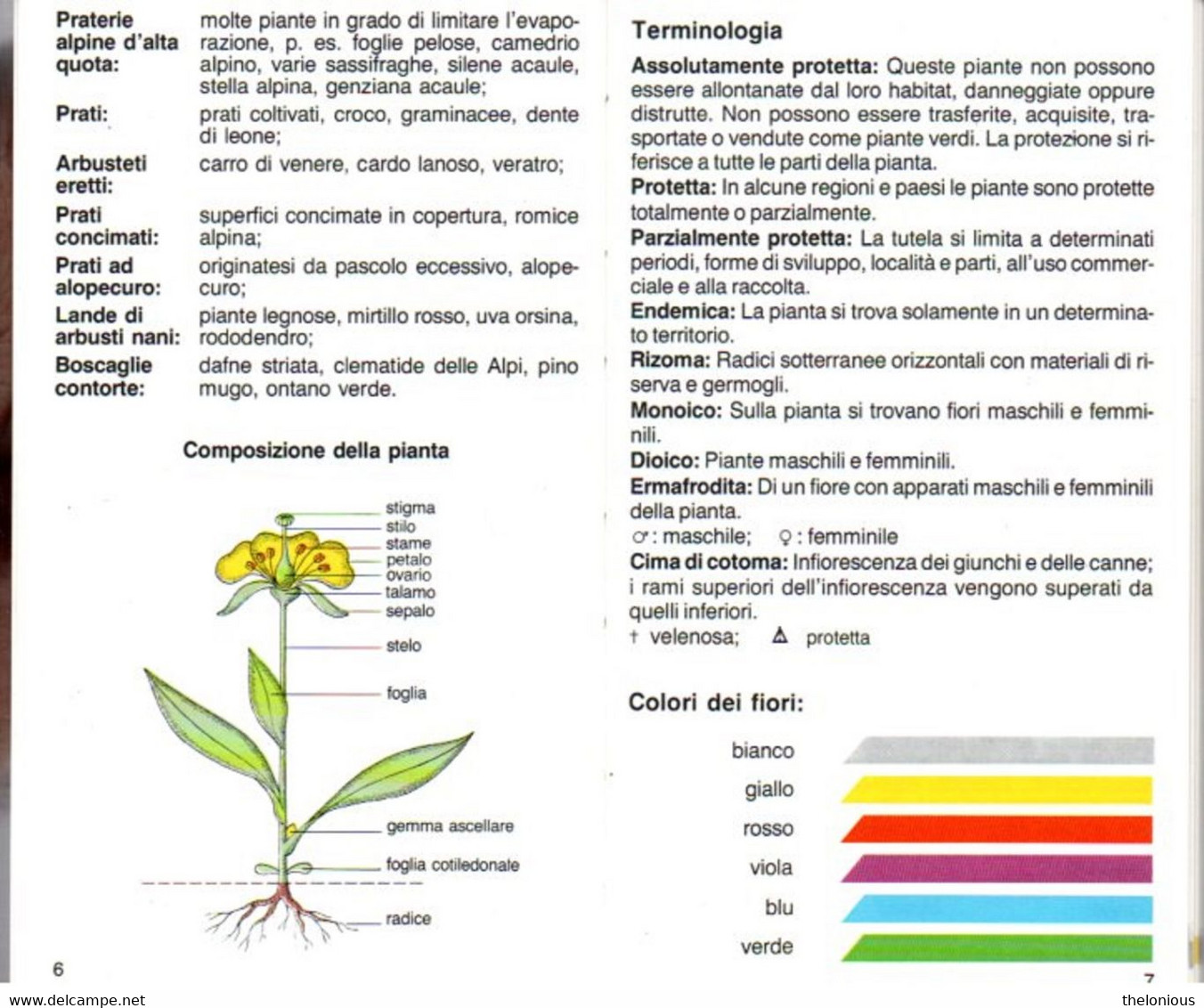 # Guida Kompass - Fiori Alpini - La Natura In Tasca 70 Foto A Colori - Toerisme, Reizen