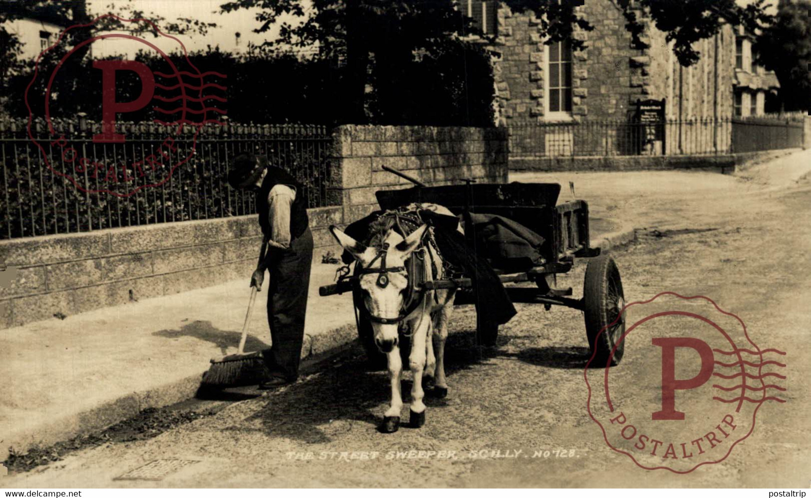 CARTE PHOTO  RPPC SCILLY STREET SWEEPER  BURROS ANE DONKEY EZEL BURRO - Scilly Isles