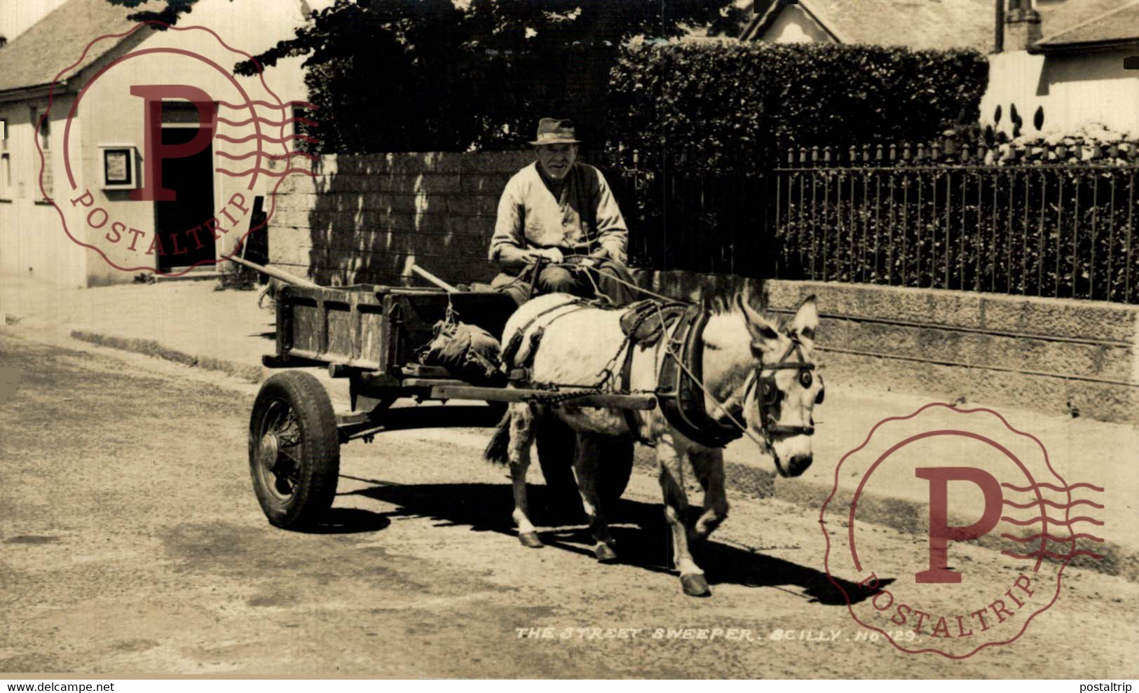 CARTE PHOTO  RPPC SCILLY STREET SWEEPER  BURROS ANE DONKEY EZEL BURRO - Scilly Isles