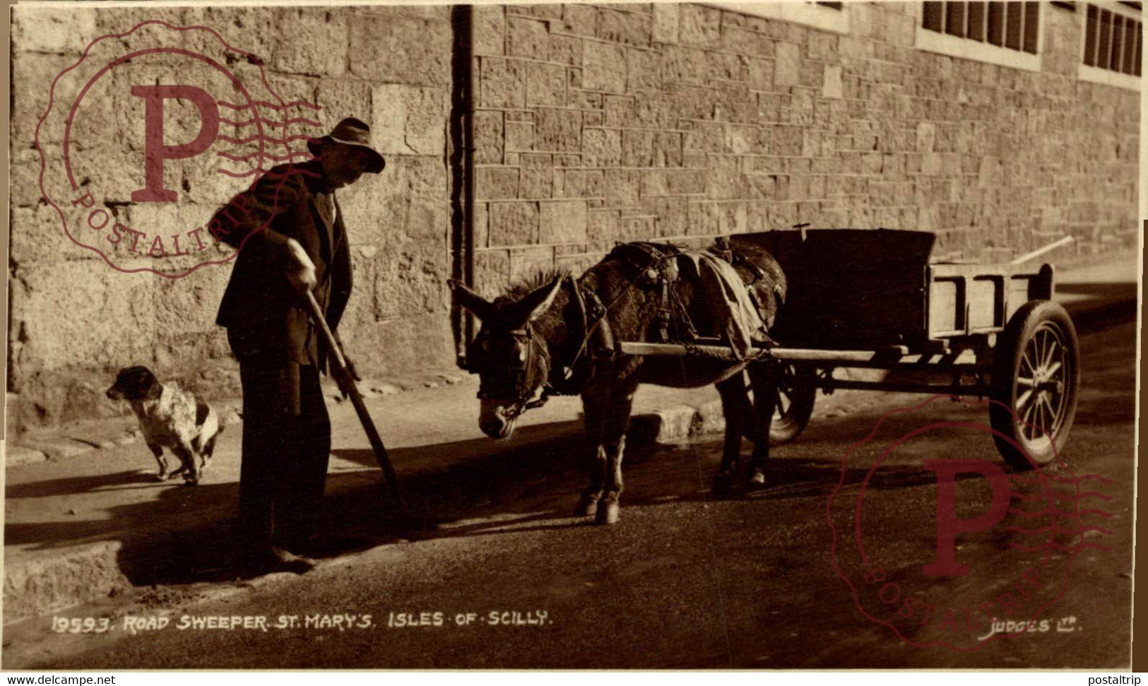 CARTE PHOTO  RPPC SCILLY STREET SWEEPER ST MARY'S   BURROS ANE DONKEY EZEL BURRO - Scilly Isles