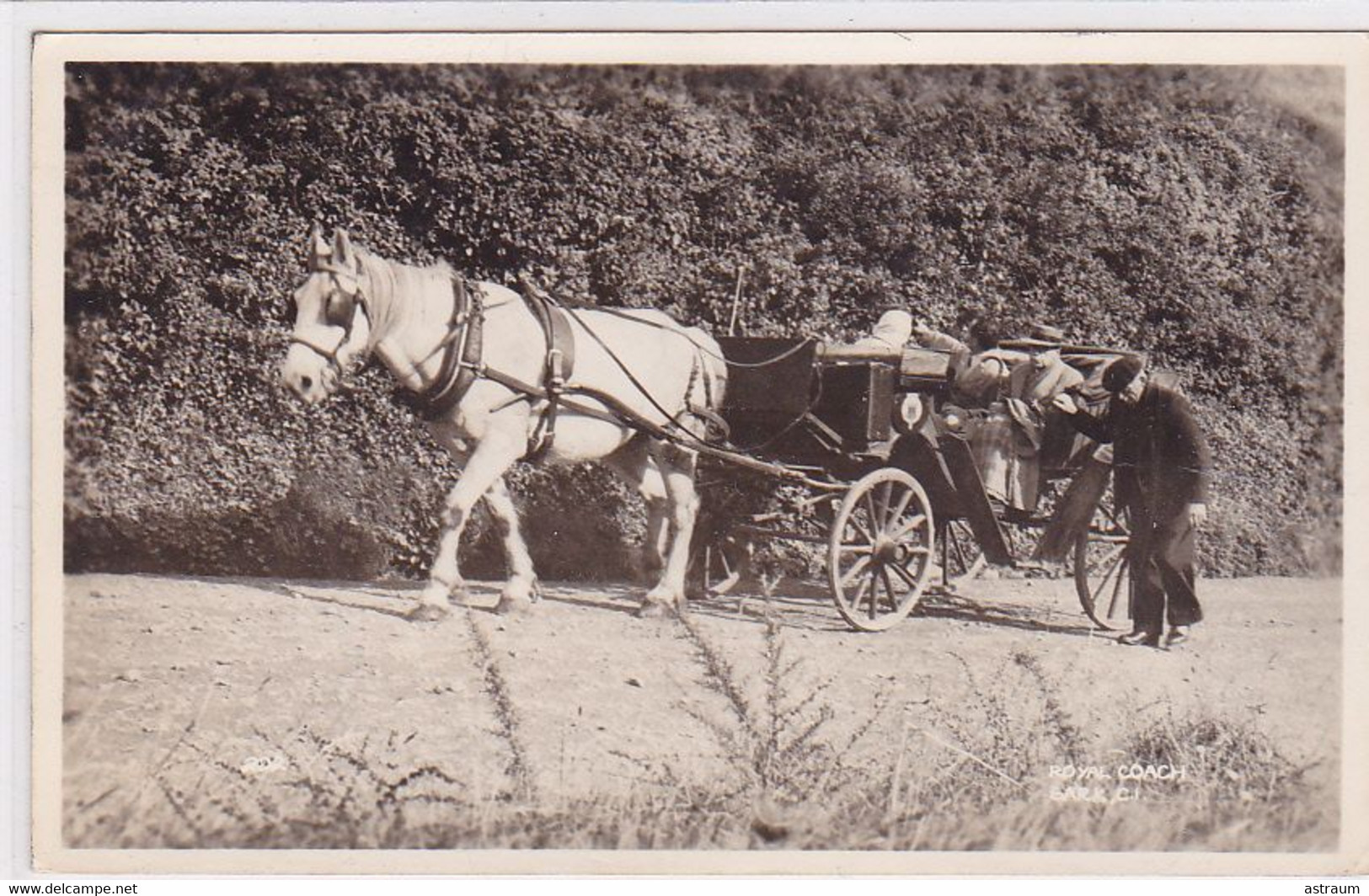 Cpa -ang- Sark -- Royal Coach - Hitch With Horse -edi Real Photograph - Sark