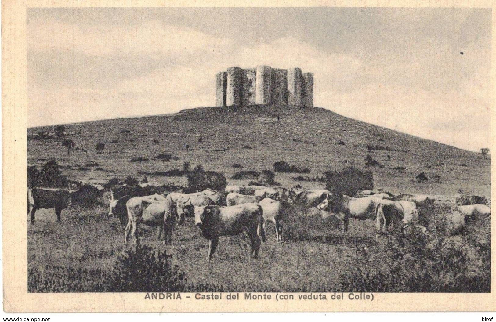 ANDRIA - CASTEL DEL MONTE  (BT) - Barletta