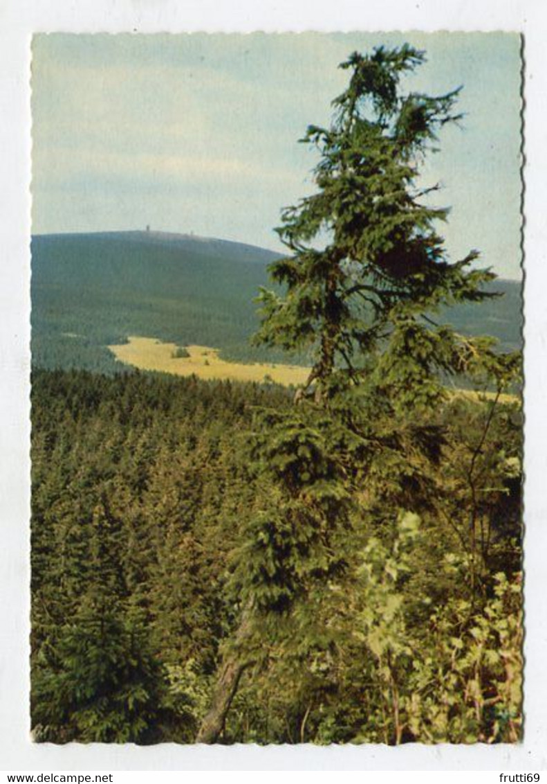 AK 054169 GERMANY - Harz - Blick Vom Achtermann Auf DenBrocken - Oberharz