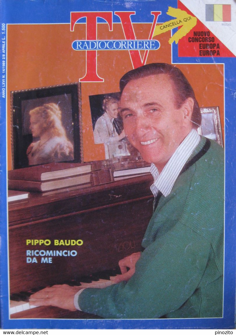 RADIOCORRIERE TV 14 1989 Pippo Baudo Michele Placido Giuliana De Sio Vincent Irizarry Frank Sinatra Liza Minnelli - Télévision