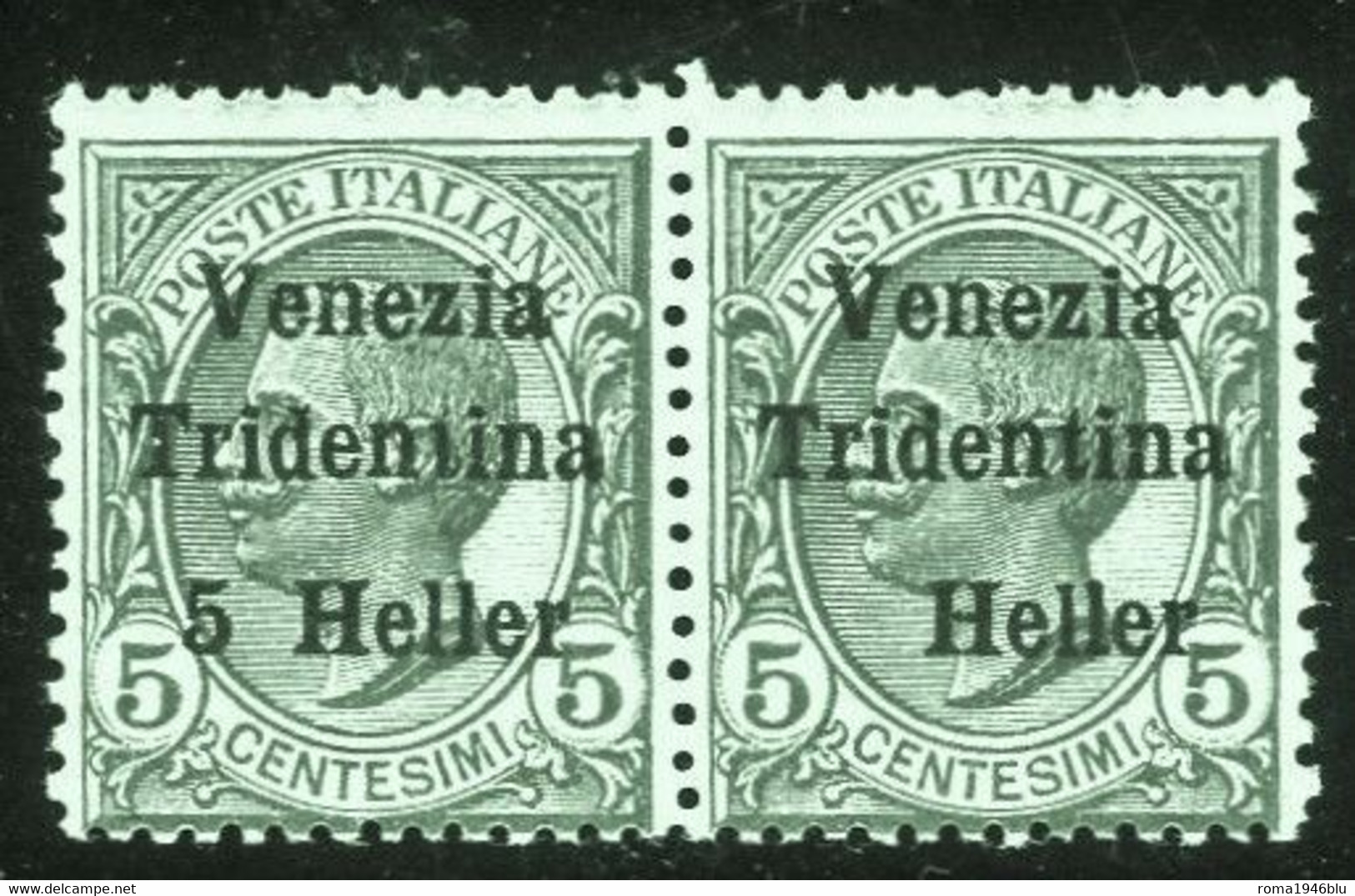 TRENTINO ALTO ADIGE 1918 SOPRAST. "VENEZIA TRIDENTINA" COPPIA SENZA 5 H  ERRORE DI COMPOSIZIONE ** MNH  SASSONE 28d - Trentino