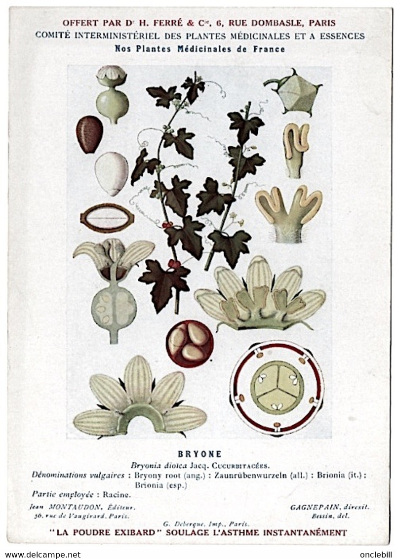 Plantes Médicinales 5 Planches Bryone Cassier Digitale Douce Amère Fougère Publicité Exibard 1920 TB état - Plantas Medicinales