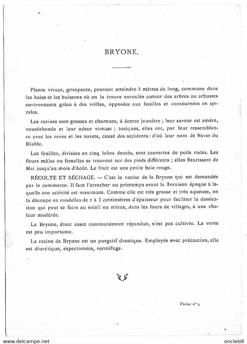 Plantes Médicinales 5 Planches Bryone Cassier Digitale Douce Amère Fougère Publicité Exibard 1920 TB état - Heilpflanzen