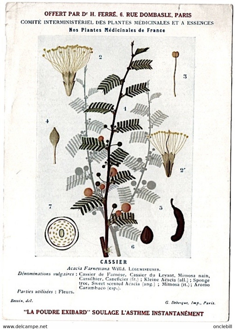 Plantes Médicinales 5 Planches Bryone Cassier Digitale Douce Amère Fougère Publicité Exibard 1920 TB état - Plantas Medicinales