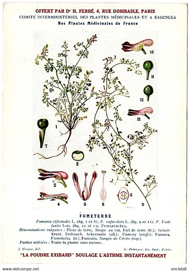 Plantes Médicinales 5 Planches Fumeterre Genet Houblon Bardane Guimauve Publicité Exibard 1920 TB état - Plantas Medicinales