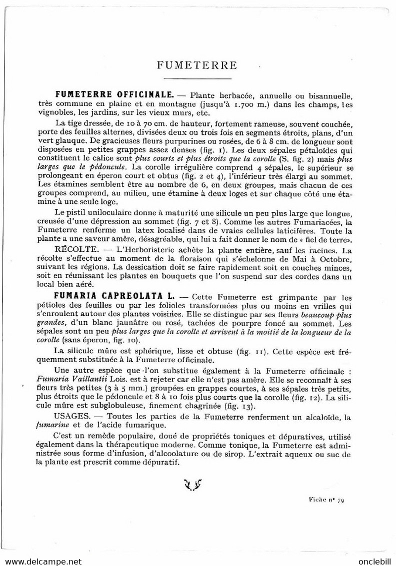 Plantes Médicinales 5 Planches Fumeterre Genet Houblon Bardane Guimauve Publicité Exibard 1920 TB état - Geneeskrachtige Planten