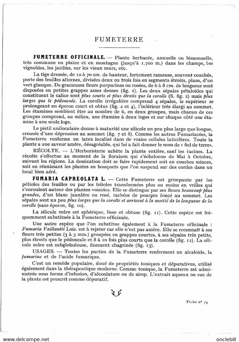 Plantes Médicinales 5 Planches Fumeterre Genet Houblon Bardane Guimauve Publicité Exibard 1920 TB état - Plantas Medicinales