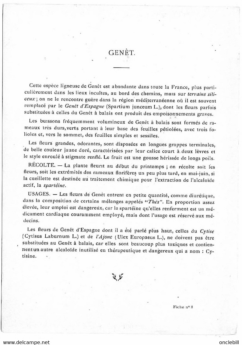 Plantes Médicinales 5 Planches Fumeterre Genet Houblon Bardane Guimauve Publicité Exibard 1920 TB état - Geneeskrachtige Planten