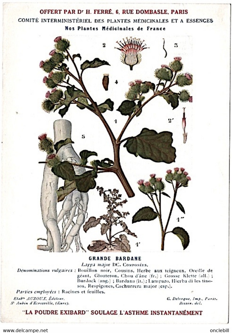 Plantes Médicinales 5 Planches Fumeterre Genet Houblon Bardane Guimauve Publicité Exibard 1920 TB état - Piante Medicinali