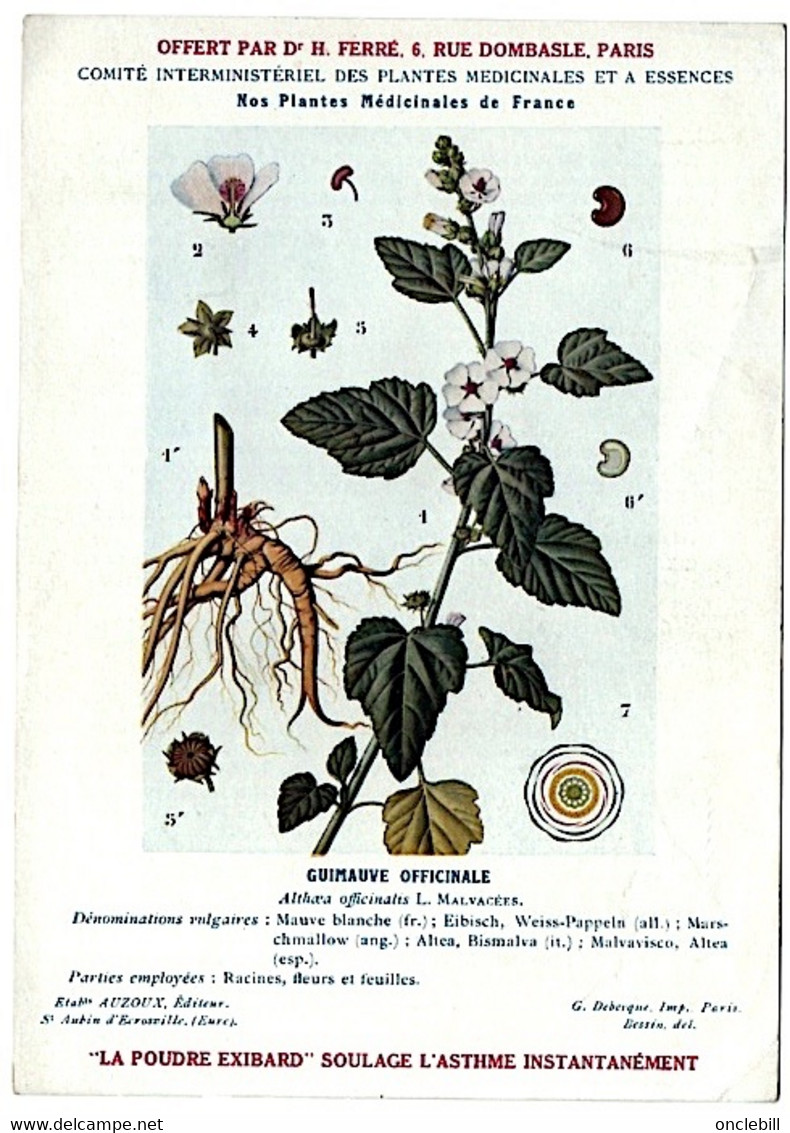 plantes médicinales 5 planches fumeterre genet houblon bardane guimauve publicité exibard 1920 TB état