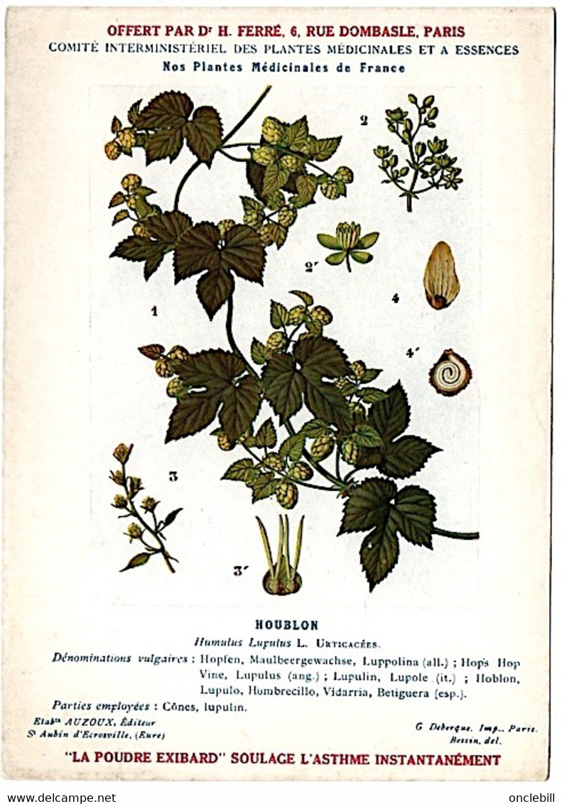 plantes médicinales 5 planches fumeterre genet houblon bardane guimauve publicité exibard 1920 TB état