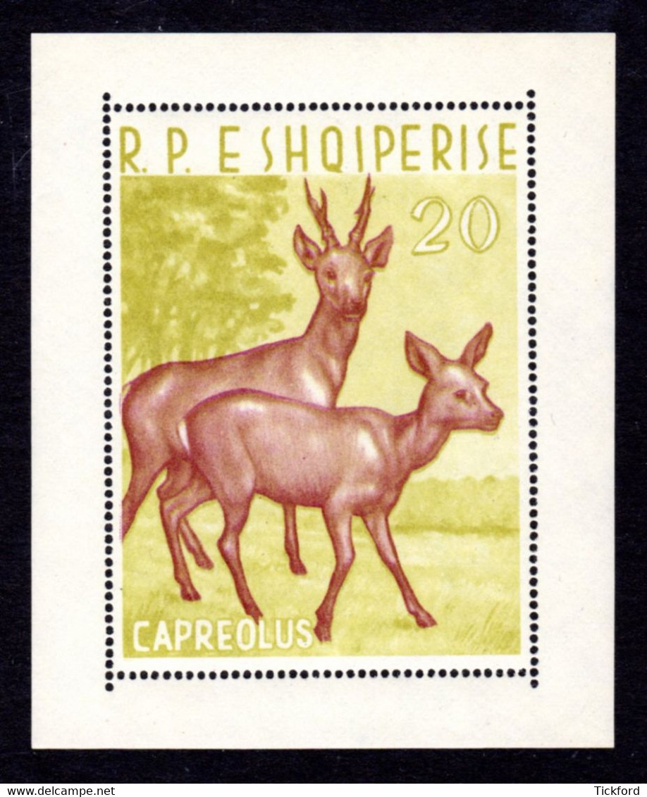 ALBANIE 1962 - BF Yvert N° 6F - NEUF ** / MNH - MiNr. Block 15 - Faune, Animaux, Chevreuils - Albania