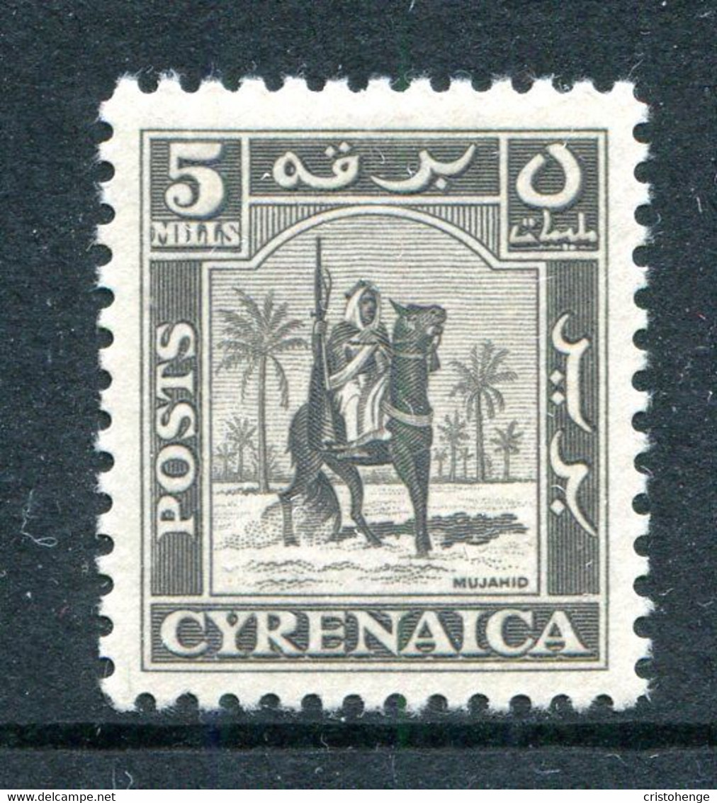 British Occ. Italian Colonies - Cyrenacia - 1950 Mounted Warrior - 5m Grey-black LHM (SG 140) - Cirenaica