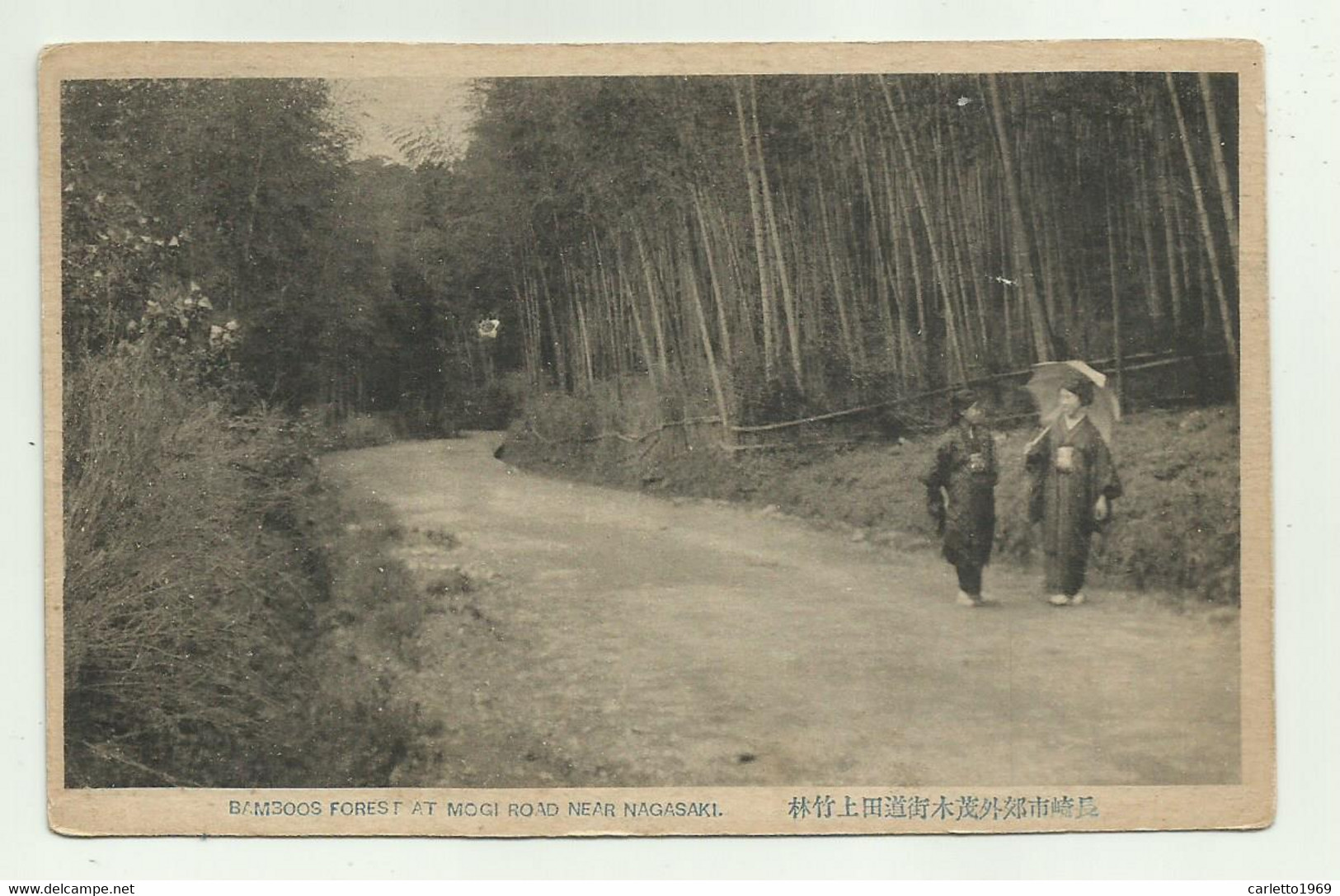 BAMBOOS FOREST AT MOGI ROAD NEAR NAGASAKI - NV FP - Other & Unclassified