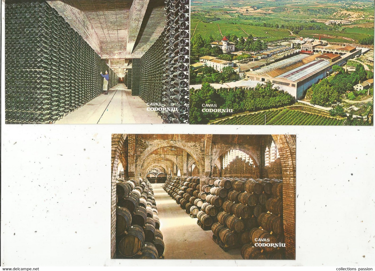 Cp , Agriculture , Vin , Vignes , Espagne , CAVAS CODORNIU , Vierges , LOT DE 3 CARTES PÖSTALES - Viñedos