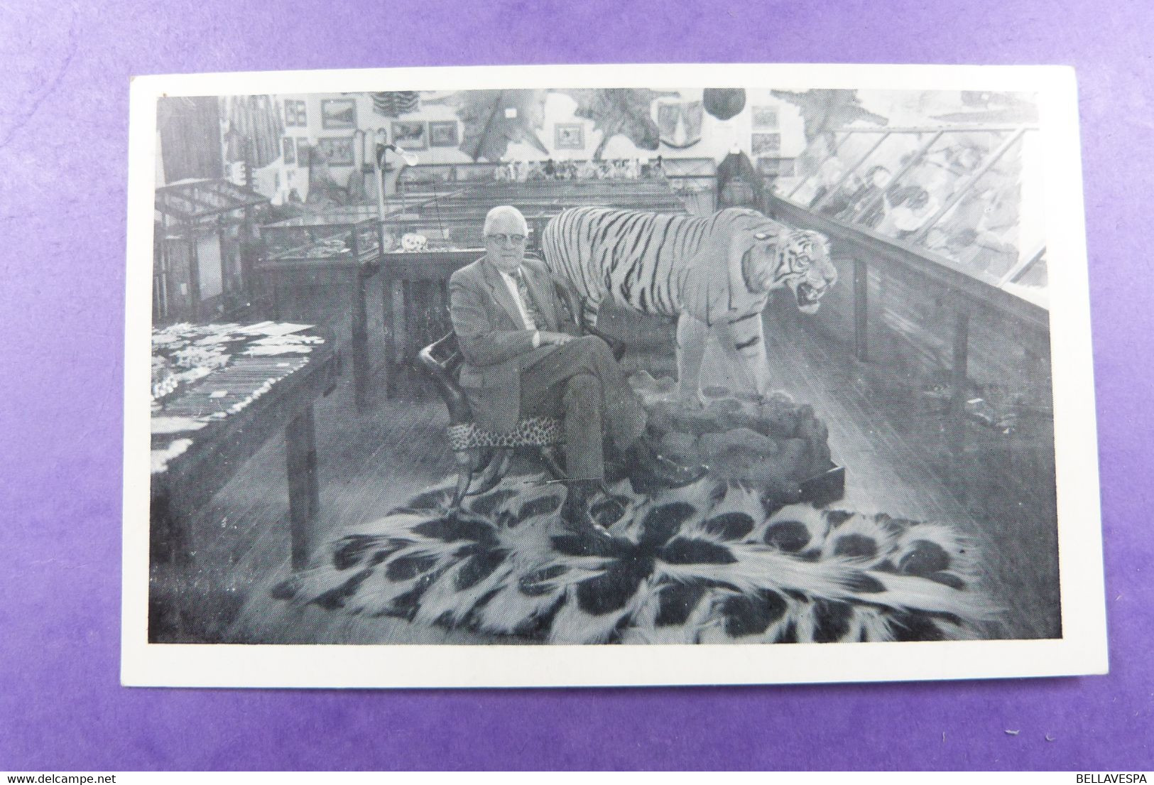 Warren. Maine N.H. -I.H.Morse Tiger Shot In India Morse Museum Old Skool Hunt Hunting Jacht Chasse - Chasse