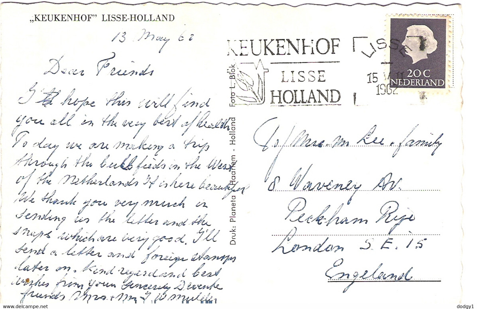 KEUKENHOF, LISSE, SOUTH HOLLAND, NETHERLANDS. Circa 1962 USED POSTCARD Ke8 - Lisse